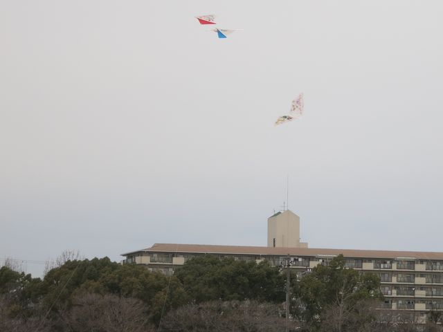 凧揚げ